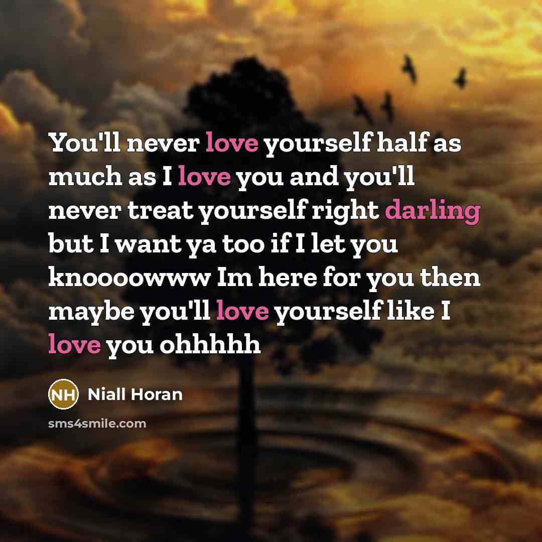 “You'll never love yourself half as much as I love you and you'll never treat yourself right darling but I want ya too if I let you knoooowww Im here for you then maybe you'll love yourself like I love you ohhhhh” quote by Niall Horan