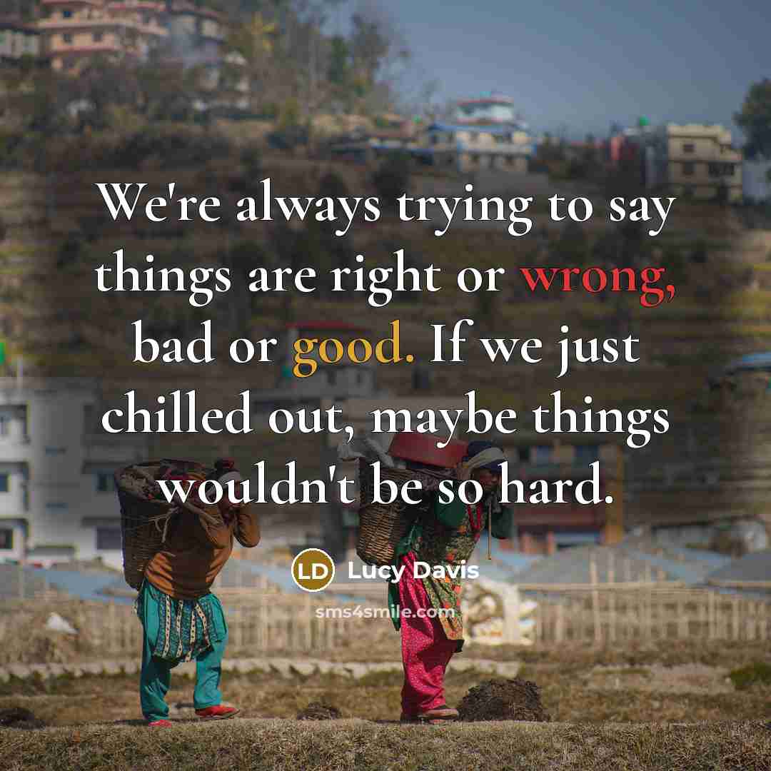 “We're always trying to say things are right or wrong, bad or good. If we just chilled out, maybe things wouldn't be so hard.” quote by Lucy Davis