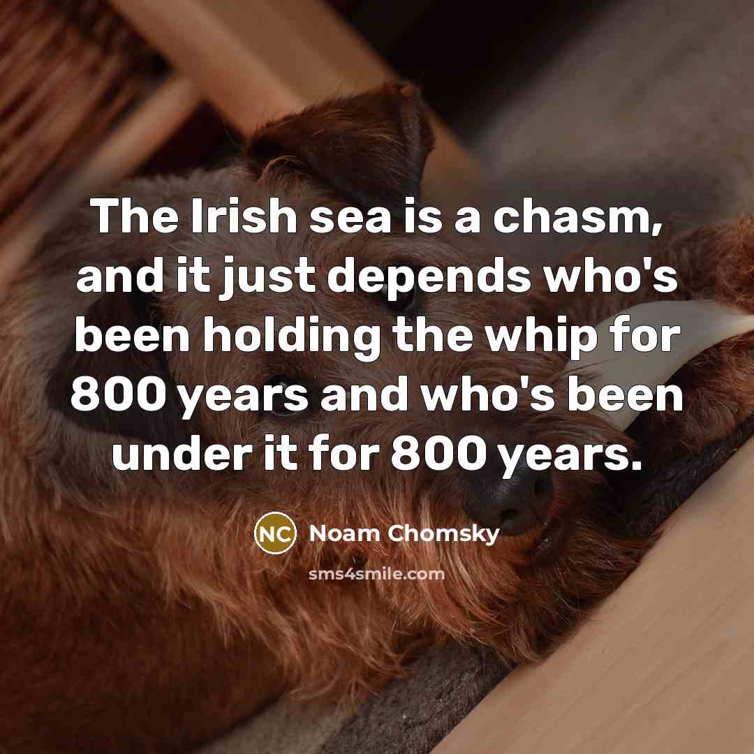“The Irish sea is a chasm, and it just depends who's been holding the whip for 800 years and who's been under it for 800 years.” quote by Noam Chomsky