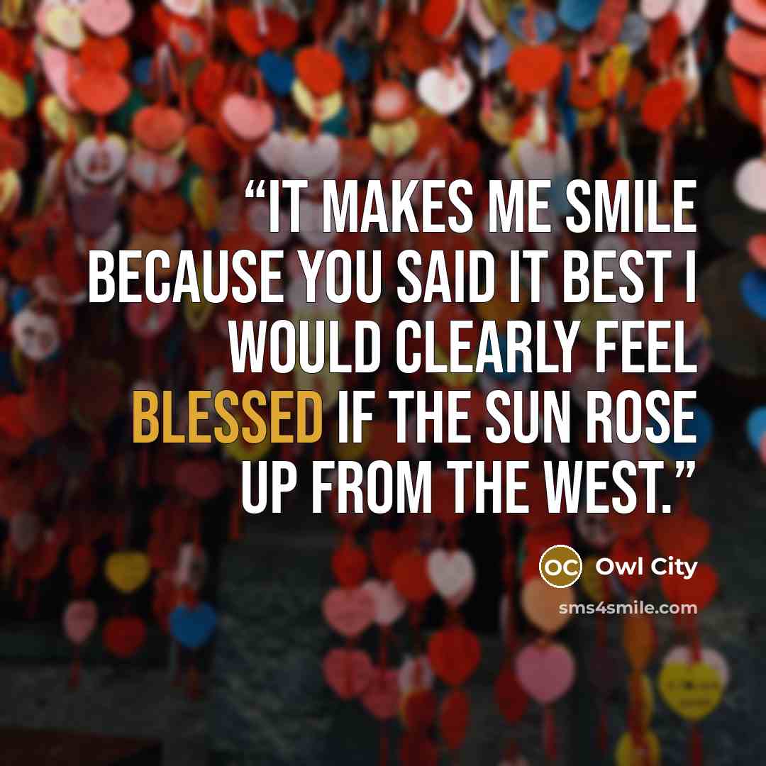 “It makes me smile because you said it best I would clearly feel blessed if the sun rose up from the west.” quote by Owl City