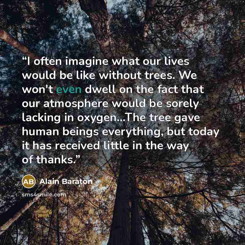 “I often imagine what our lives would be like without trees. We won't even dwell on the fact that our atmosphere would be sorely lacking in oxygen...The tree gave human beings everything, but today it has received little in the way of thanks.” quote by Alain Baraton