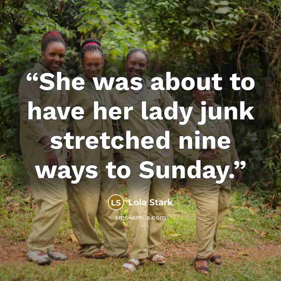“She was about to have her lady junk stretched nine ways to Sunday.” quote by Lola Stark