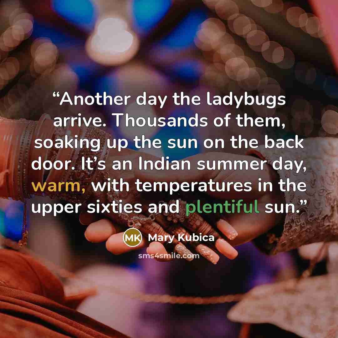 “Another day the ladybugs arrive. Thousands of them, soaking up the sun on the back door. It’s an Indian summer day, warm, with temperatures in the upper sixties and plentiful sun.” quote by Mary Kubica