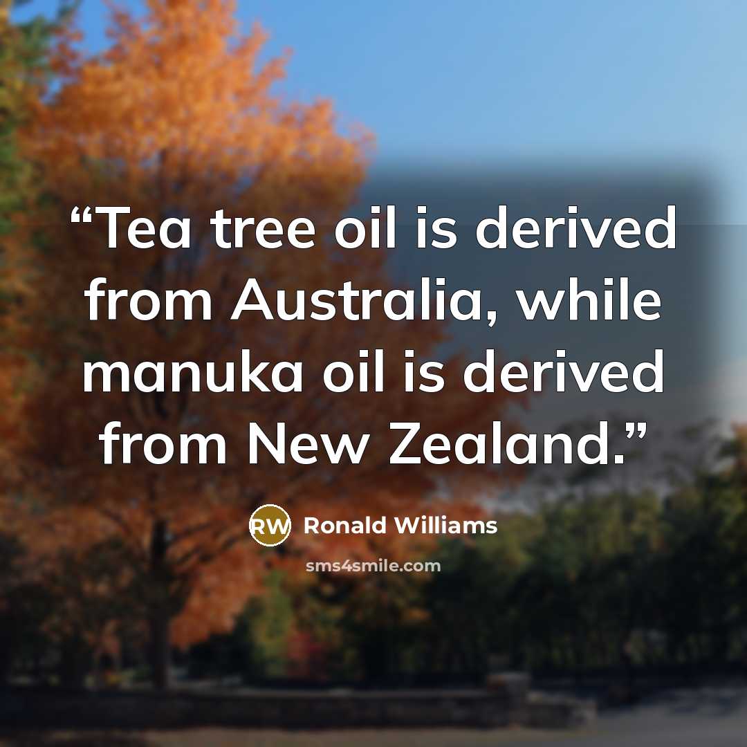 “Tea tree oil is derived from Australia, while manuka oil is derived from New Zealand.” quote by Ronald Williams
