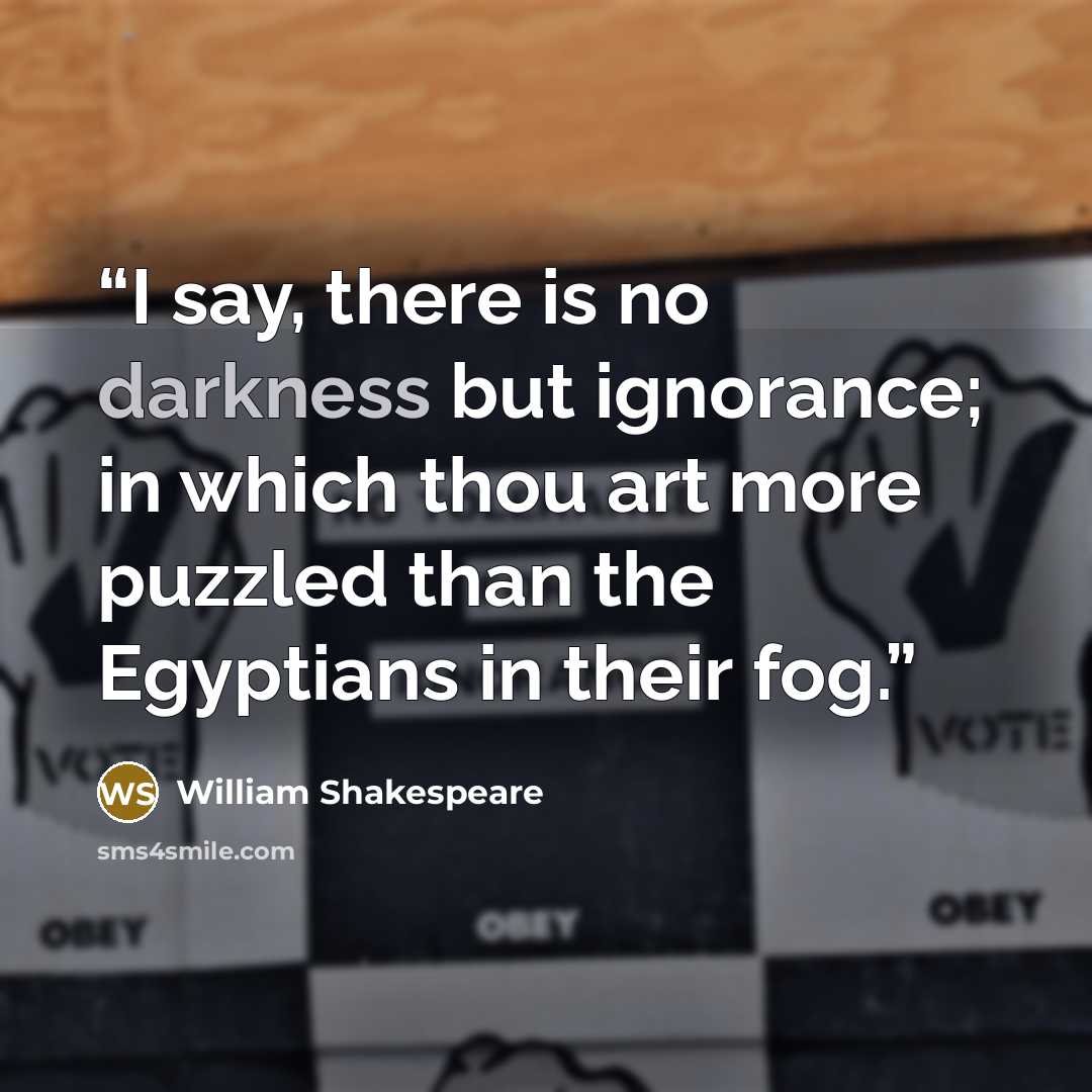 “I say, there is no darkness but ignorance; in which thou art more puzzled than the Egyptians in their fog.” quote by William Shakespeare
