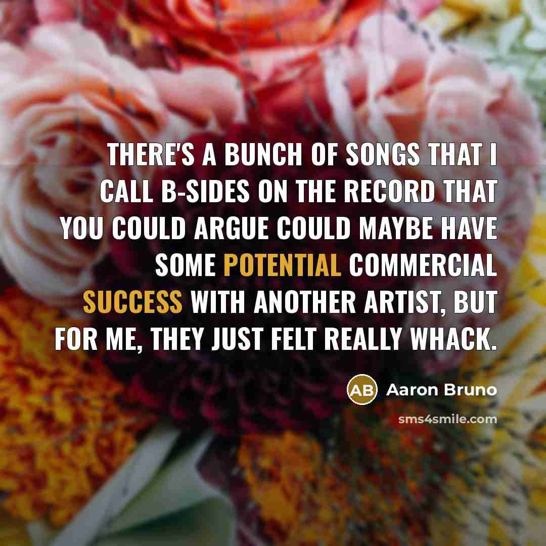 “There's a bunch of songs that I call B-sides on the record that you could argue could maybe have some potential commercial success with another artist, but for me, they just felt really whack.” quote by Aaron Bruno