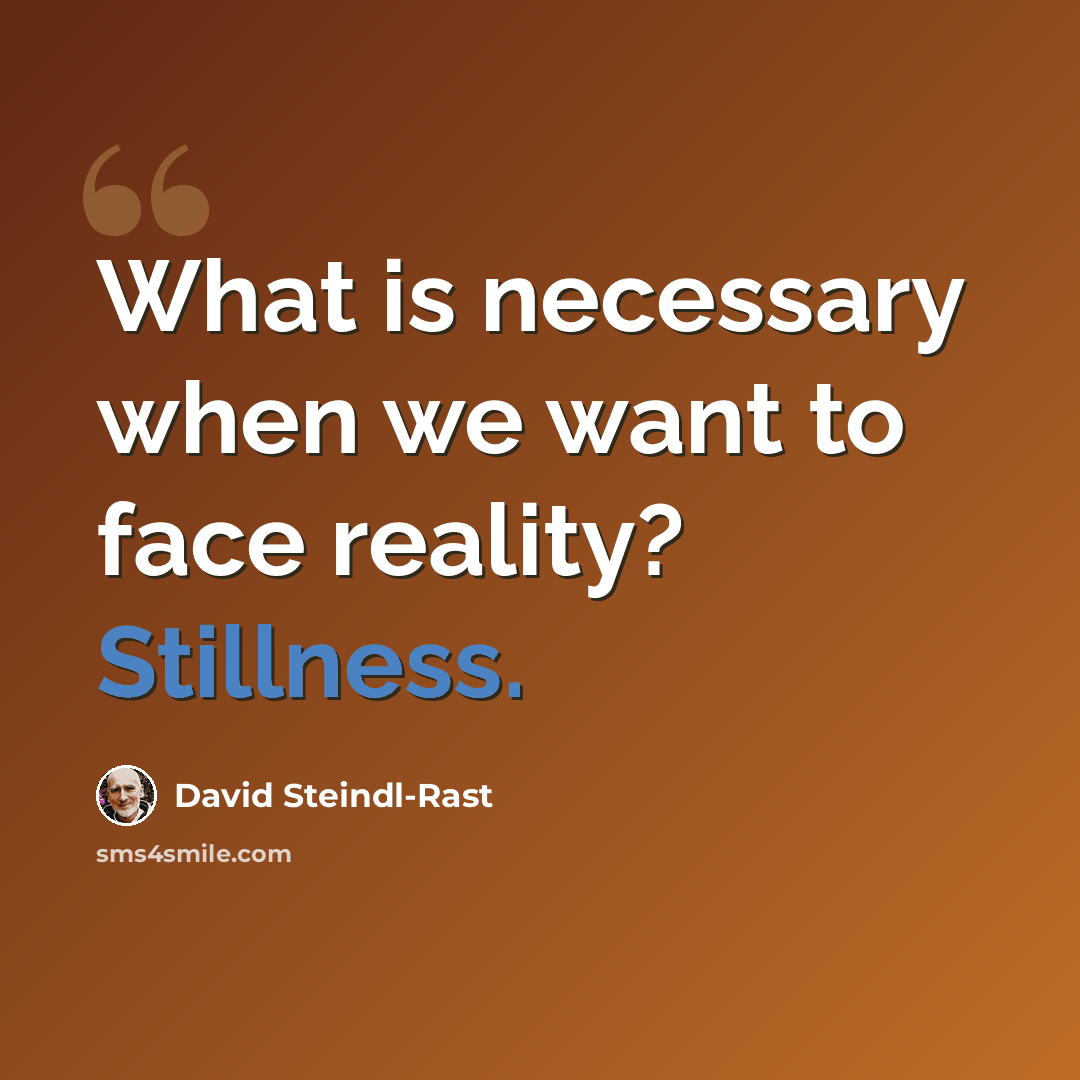 “What is necessary when we want to face reality? Stillness.” quote by David Steindl-Rast