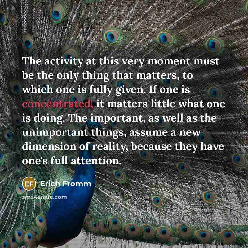 “The activity at this very moment must be the only thing that matters, to which one is fully given. If one is concentrated, it matters little what one is doing. The important, as well as the unimportant things, assume a new dimension of reality, because they have one's full attention.” quote by Erich Fromm