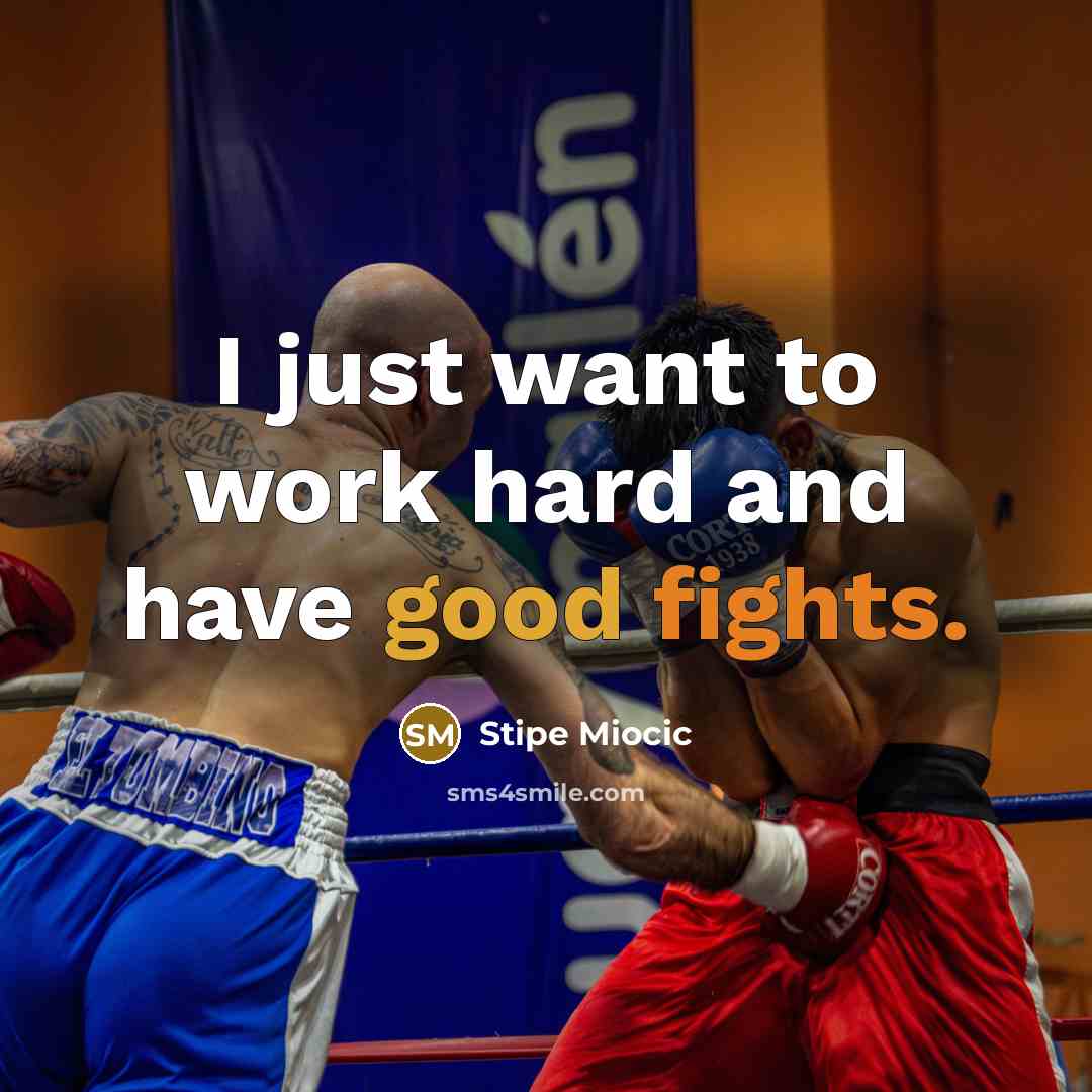 “I just want to work hard and have good fights.” quote by Stipe Miocic