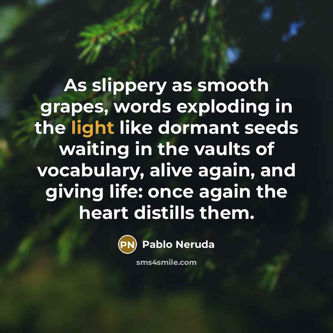 “As slippery as smooth grapes, words exploding in the light like dormant seeds waiting in the vaults of vocabulary, alive again, and giving life: once again the heart distills them.” quote by Pablo Neruda