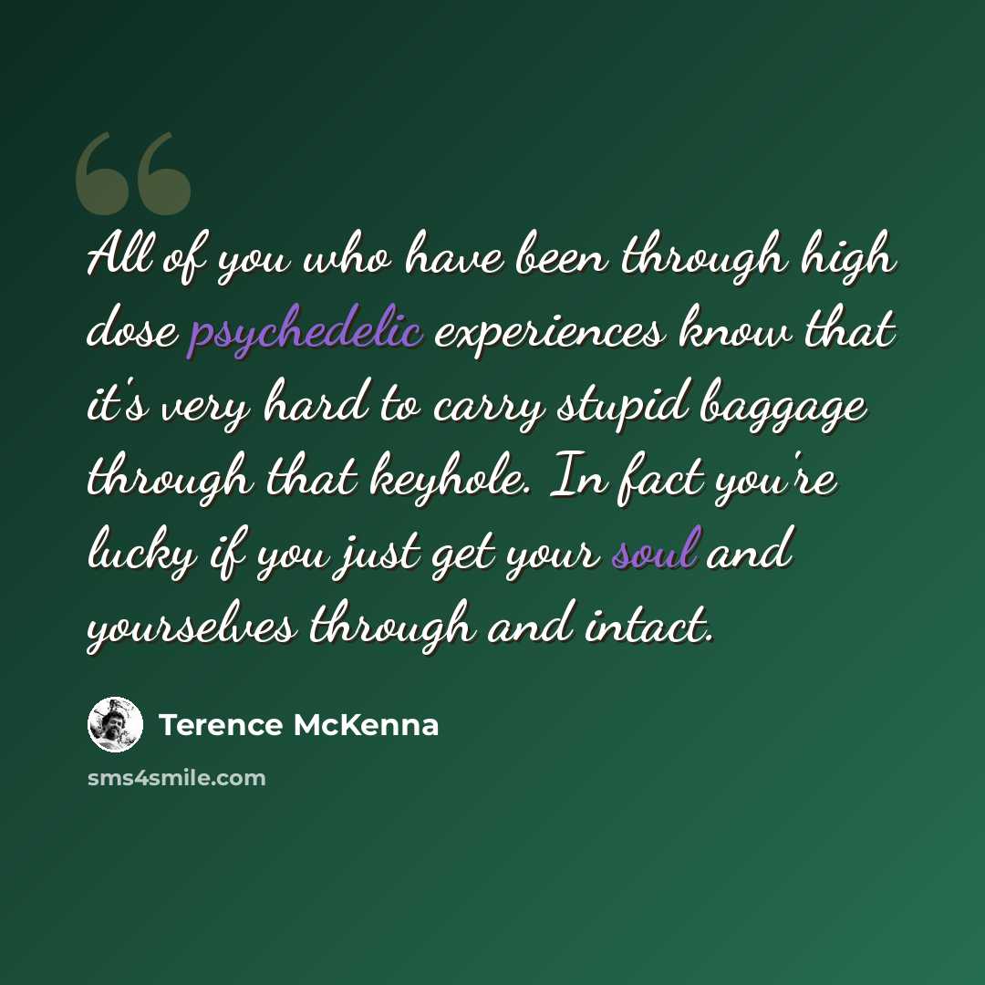 “All of you who have been through high dose psychedelic experiences know that it's very hard to carry stupid baggage through that keyhole. In fact you're lucky if you just get your soul and yourselves through and intact.” quote by Terence McKenna