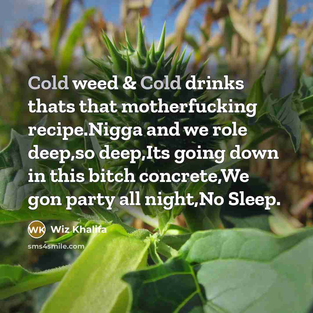 “Cold weed & Cold drinks thats that motherfucking recipe.Nigga and we role deep,so deep,Its going down in this bitch concrete,We gon party all night,No Sleep.” quote by Wiz Khalifa