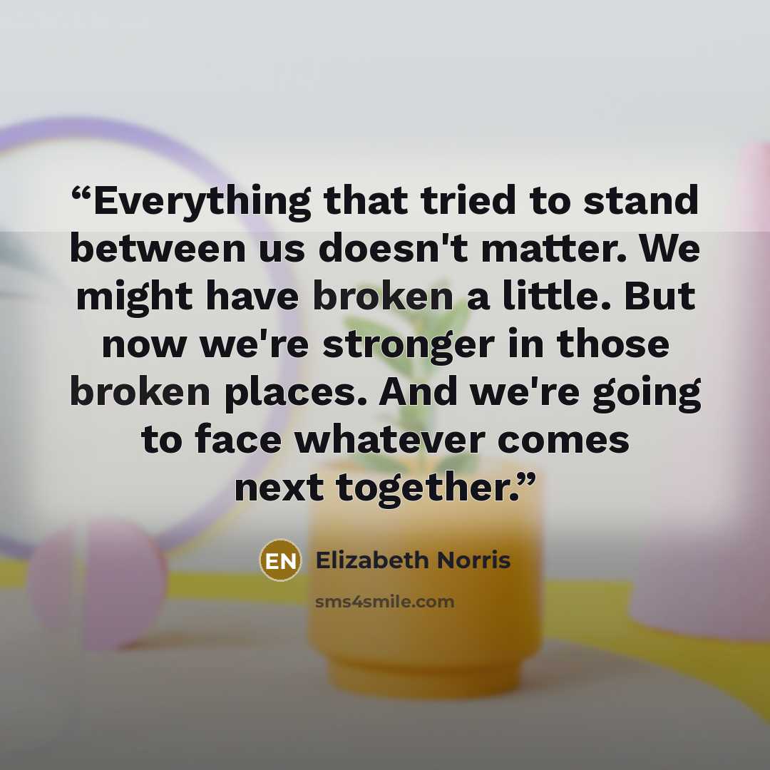 “Everything that tried to stand between us doesn't matter. We might have broken a little. But now we're stronger in those broken places. And we're going to face whatever comes next together.” quote by Elizabeth Norris