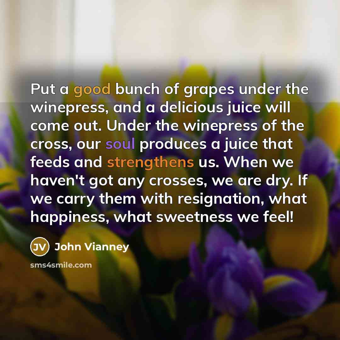 “Put a good bunch of grapes under the winepress, and a delicious juice will come out. Under the winepress of the cross, our soul produces a juice that feeds and strengthens us. When we haven't got any crosses, we are dry. If we carry them with resignation, what happiness, what sweetness we feel!” quote by John Vianney