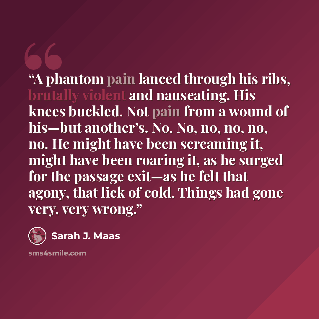 “A phantom pain lanced through his ribs, brutally violent and nauseating. His knees buckled. Not pain from a wound of his—but another’s. No. No, no, no, no, no. He might have been screaming it, might have been roaring it, as he surged for the passage exit—as he felt that agony, that lick of cold…” quote by Sarah J. Maas