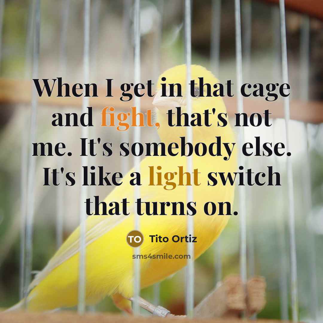 “When I get in that cage and fight, that's not me. It's somebody else. It's like a light switch that turns on.” quote by Tito Ortiz