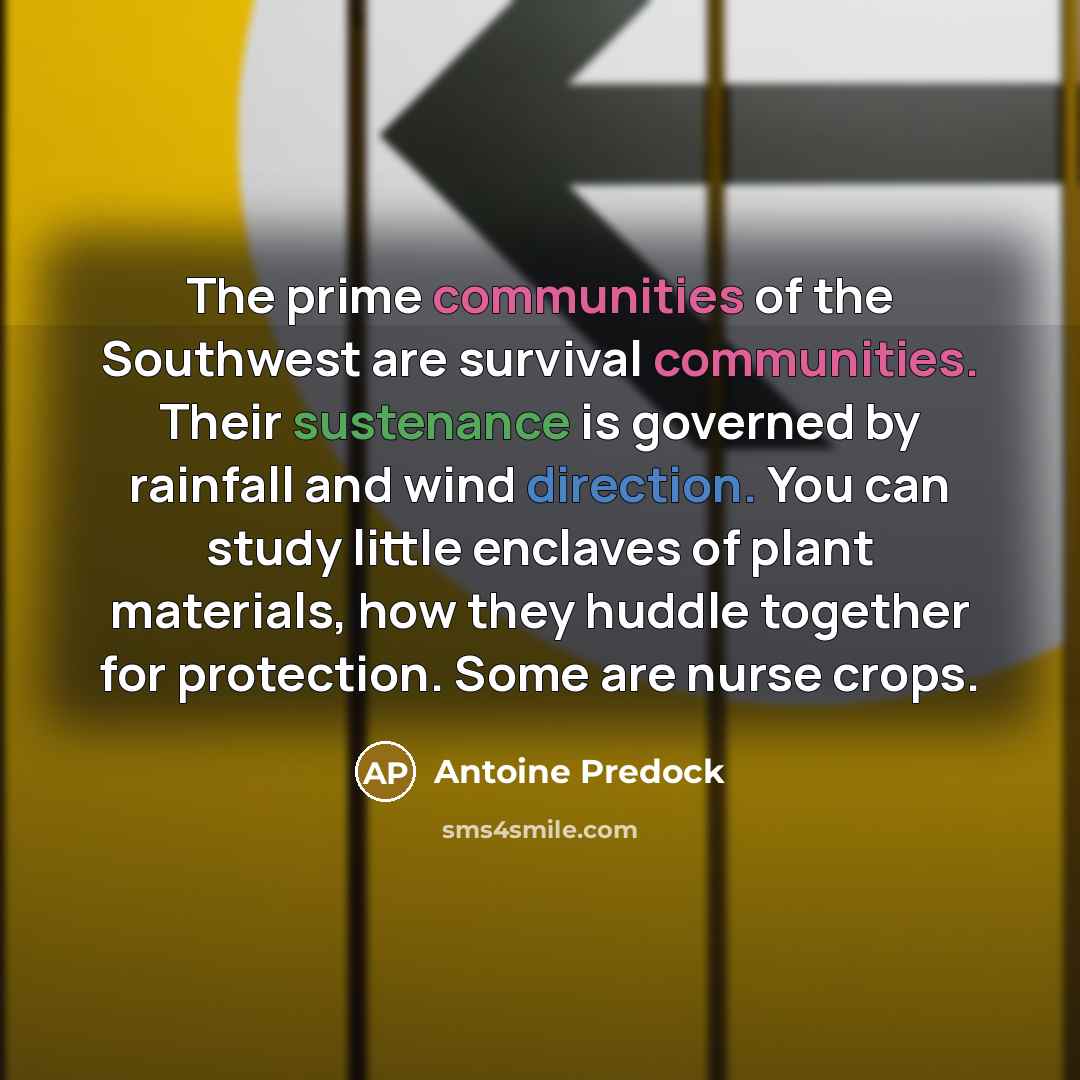 “The prime communities of the Southwest are survival communities. Their sustenance is governed by rainfall and wind direction. You can study little enclaves of plant materials, how they huddle together for protection. Some are nurse crops.” quote by Antoine Predock
