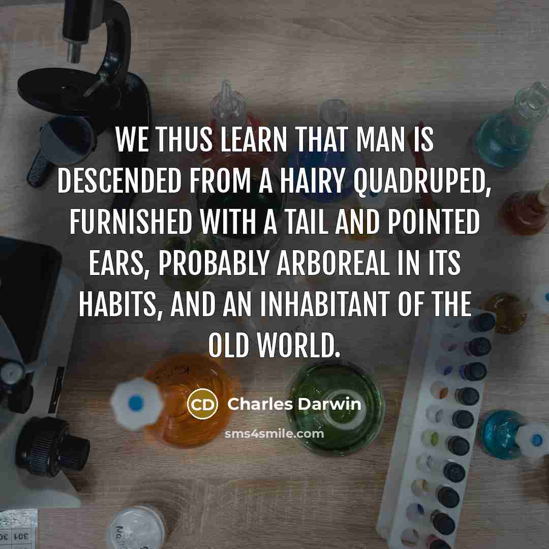 “We thus learn that man is descended from a hairy quadruped, furnished with a tail and pointed ears, probably arboreal in its habits, and an inhabitant of the Old World.” quote by Charles Darwin