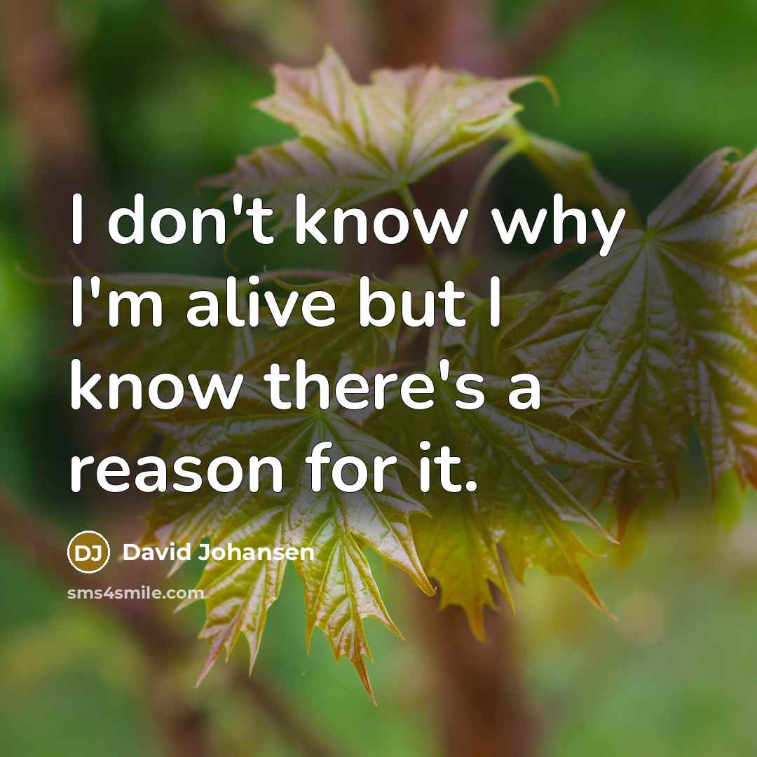 “I don't know why I'm alive but I know there's a reason for it.” quote by David Johansen