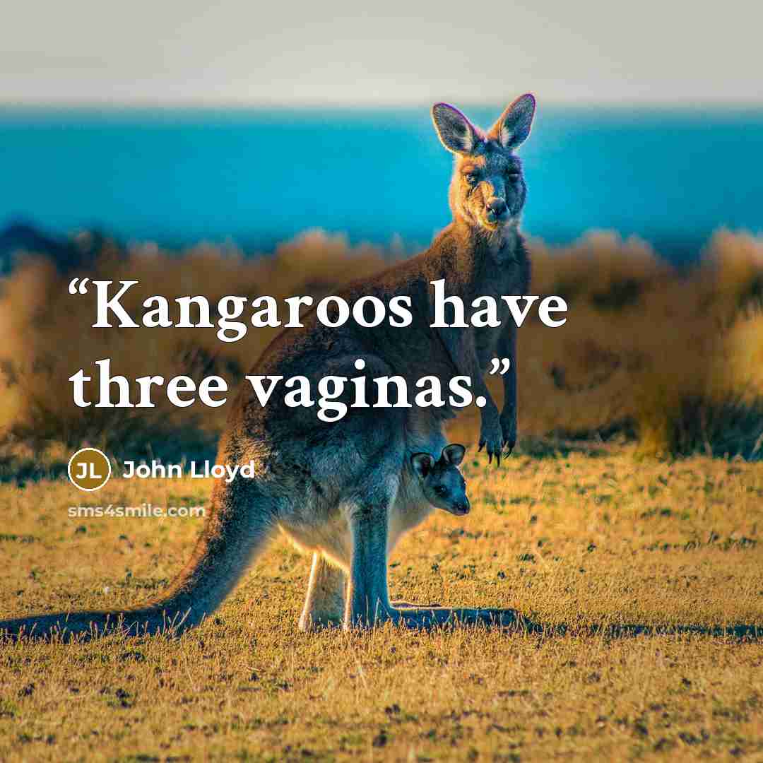 “Kangaroos have three vaginas.” quote by John Lloyd