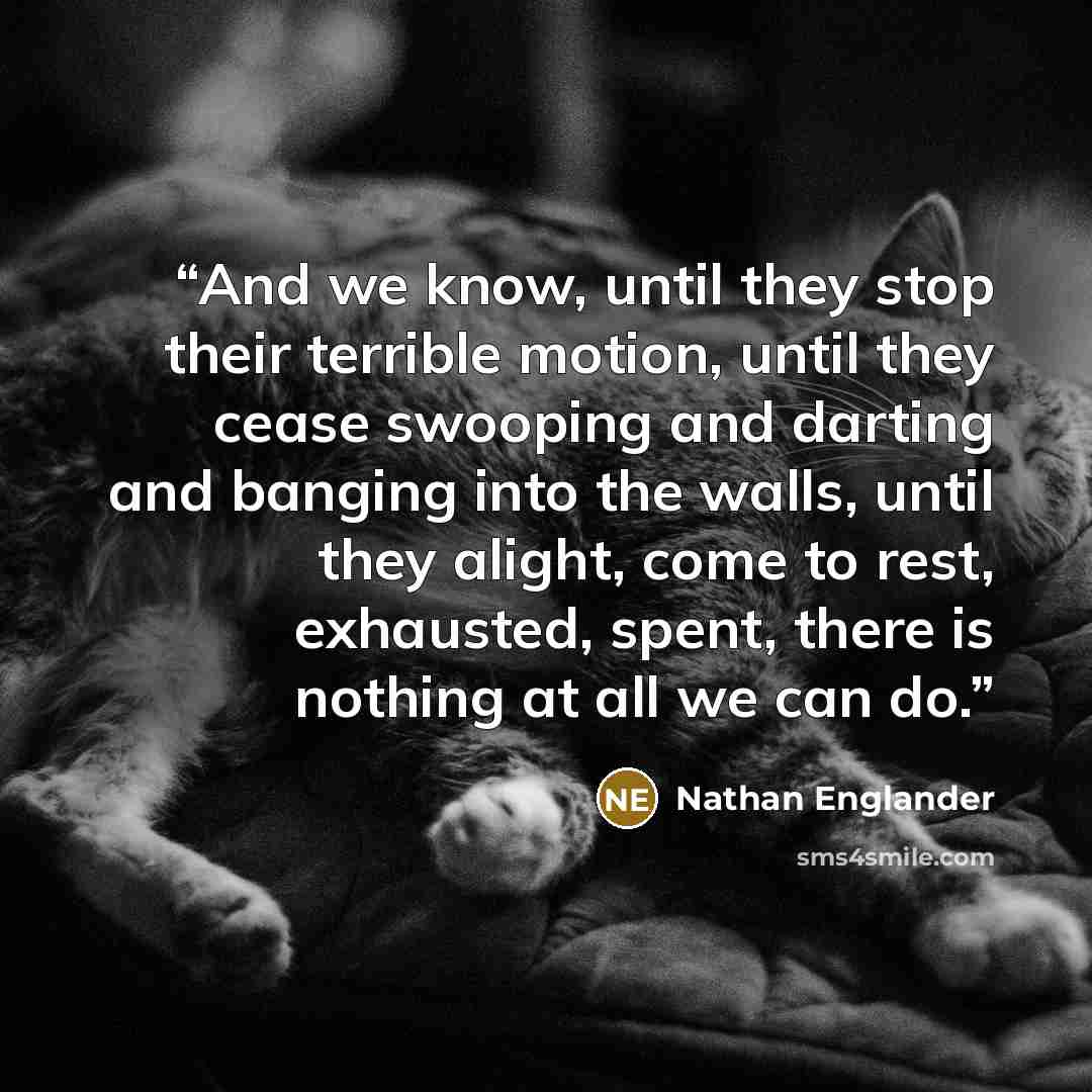 “And we know, until they stop their terrible motion, until they cease swooping and darting and banging into the walls, until they alight, come to rest, exhausted, spent, there is nothing at all we can do.” quote by Nathan Englander