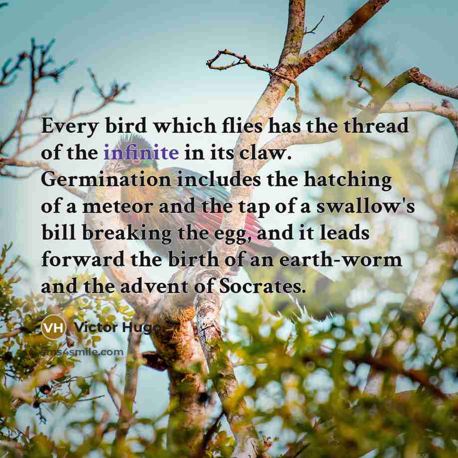 “Every bird which flies has the thread of the infinite in its claw. Germination includes the hatching of a meteor and the tap of a swallow's bill breaking the egg, and it leads forward the birth of an earth-worm and the advent of Socrates.” quote by Victor Hugo
