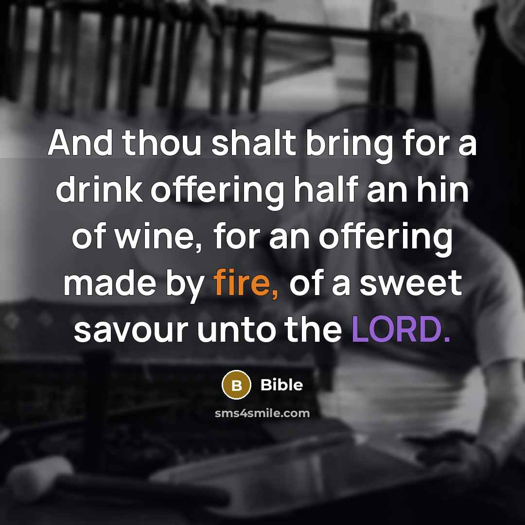 “And thou shalt bring for a drink offering half an hin of wine, for an offering made by fire, of a sweet savour unto the LORD.” quote by Bible