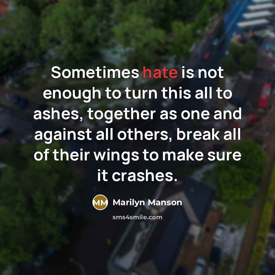 “Sometimes hate is not enough to turn this all to ashes, together as one and against all others, break all of their wings to make sure it crashes.” quote by Marilyn Manson