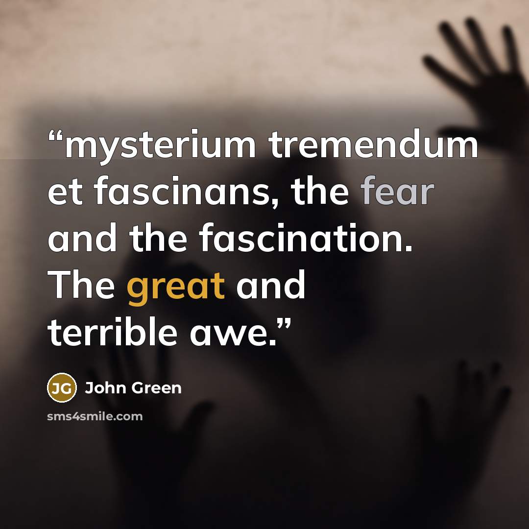 “mysterium tremendum et fascinans, the fear and the fascination. The great and terrible awe.” quote by John Green