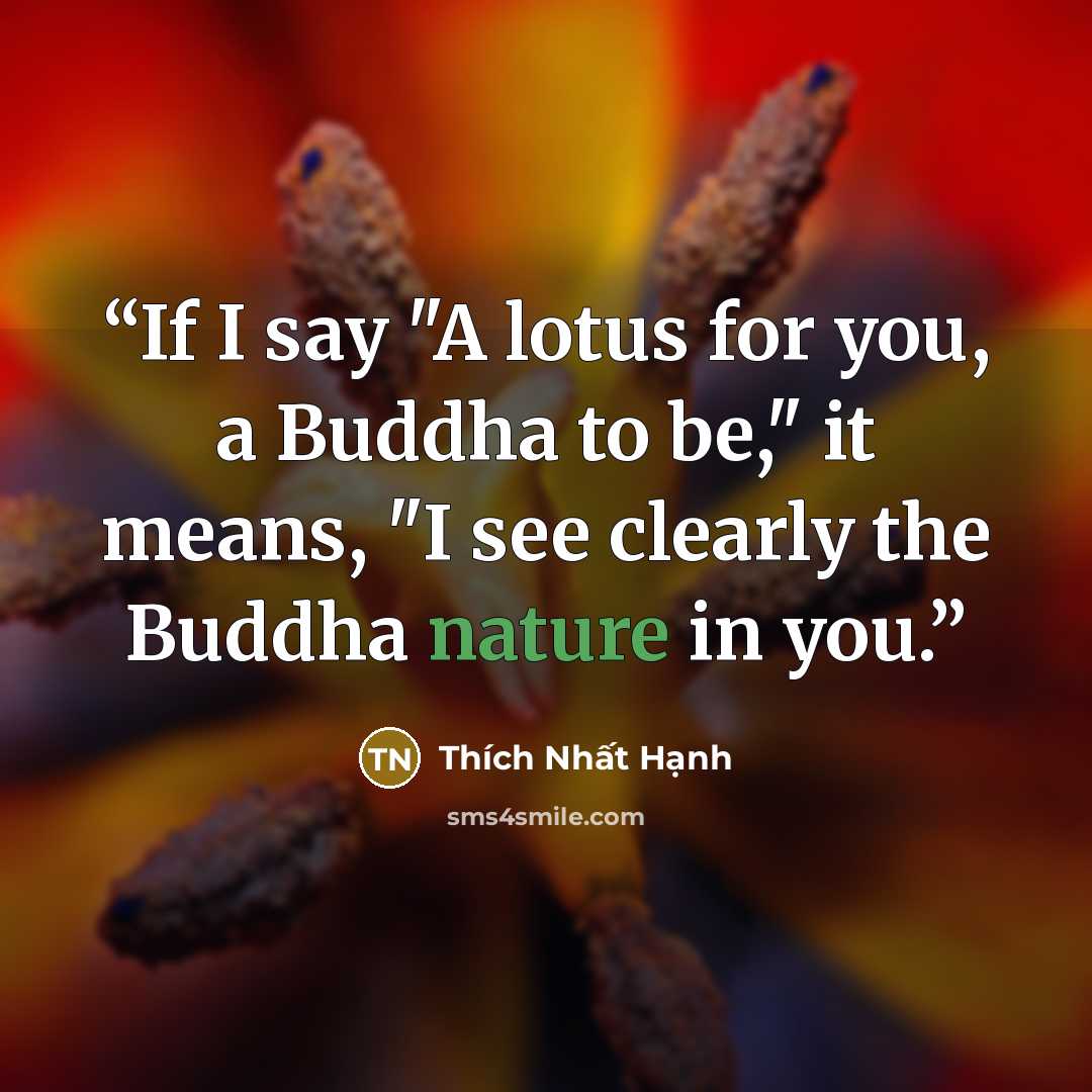 “If I say "A lotus for you, a Buddha to be," it means, "I see clearly the Buddha nature in you.” quote by Thich Nhat Hanh