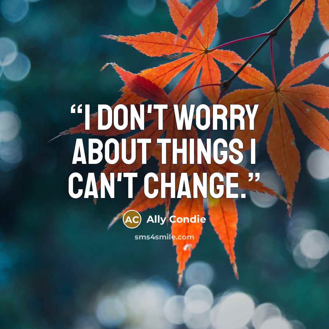 “I don't worry about things I can't change.” quote by Ally Condie
