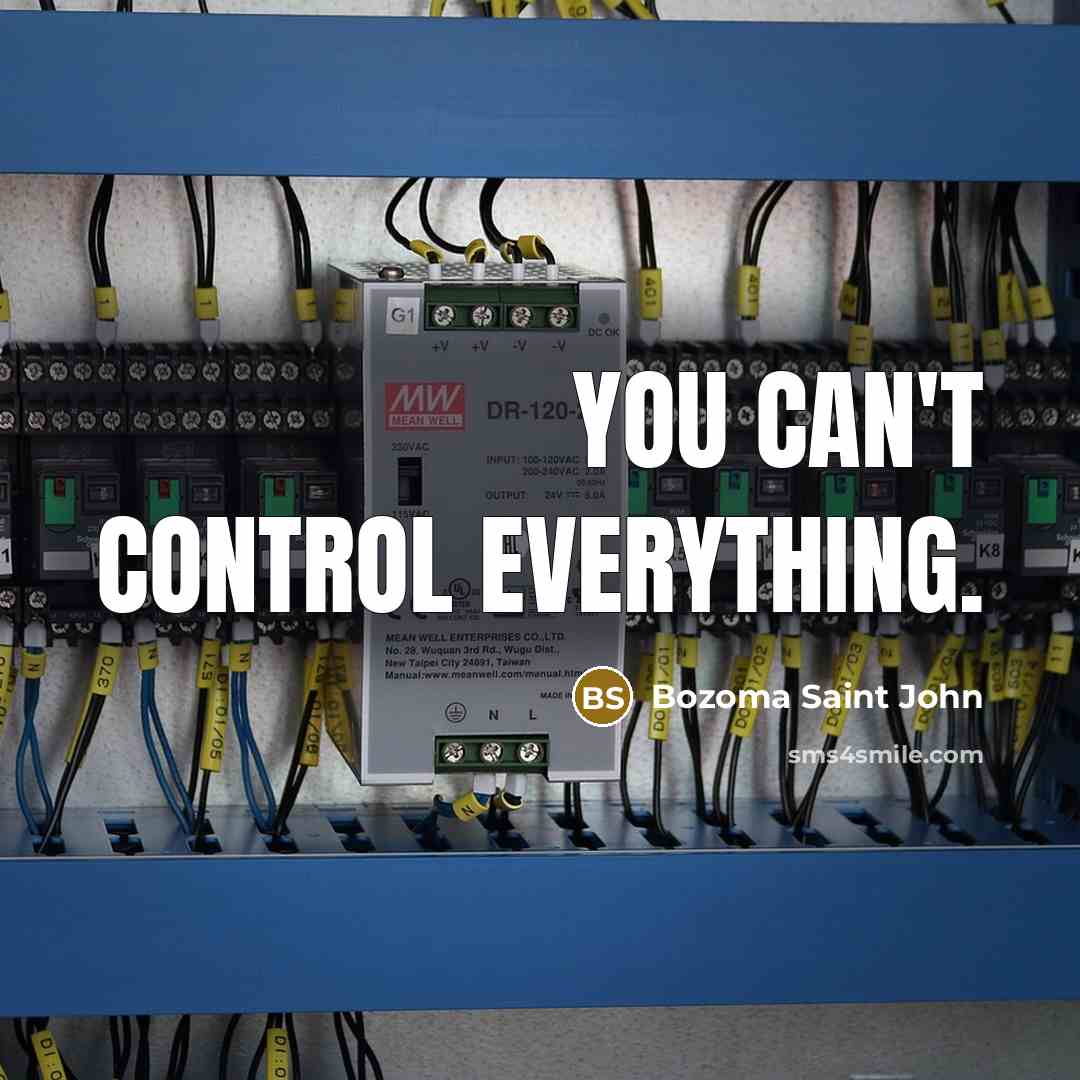 “You can't control everything.” quote by Bozoma Saint John