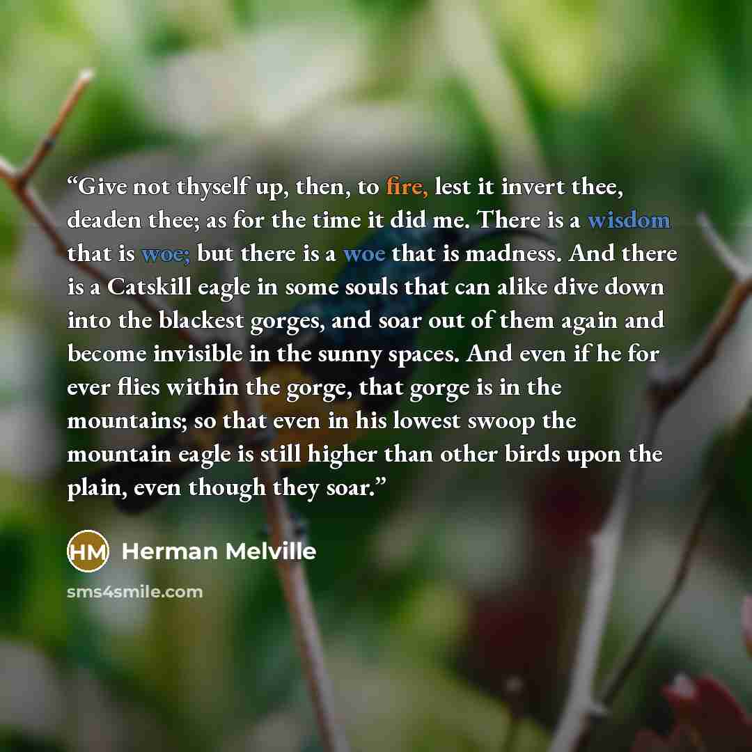 “Give not thyself up, then, to fire, lest it invert thee, deaden thee; as for the time it did me. There is a wisdom that is woe; but there is a woe that is madness. And there is a Catskill eagle in some souls that can alike dive down into the blackest gorges, and soar out of them again and become…” quote by Herman Melville