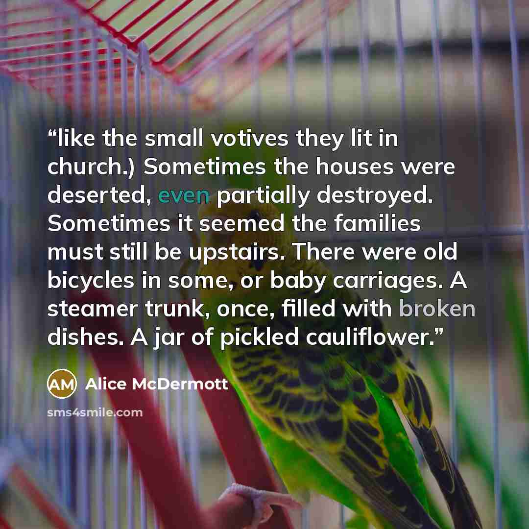 “like the small votives they lit in church.) Sometimes the houses were deserted, even partially destroyed. Sometimes it seemed the families must still be upstairs. There were old bicycles in some, or baby carriages. A steamer trunk, once, filled with broken dishes. A jar of pickled cauliflower.” quote by Alice McDermott