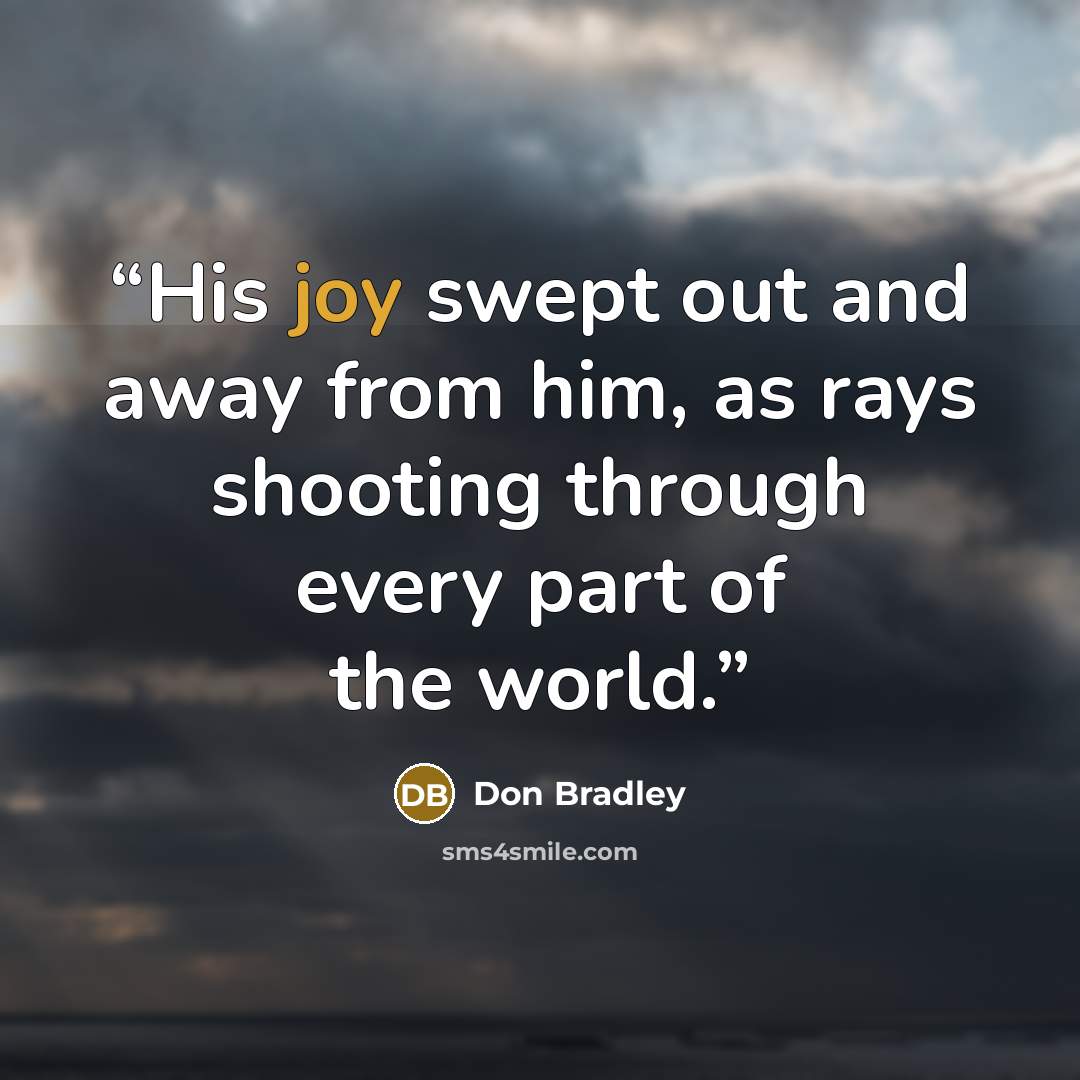 “His joy swept out and away from him, as rays shooting through every part of the world.” quote by Don Bradley