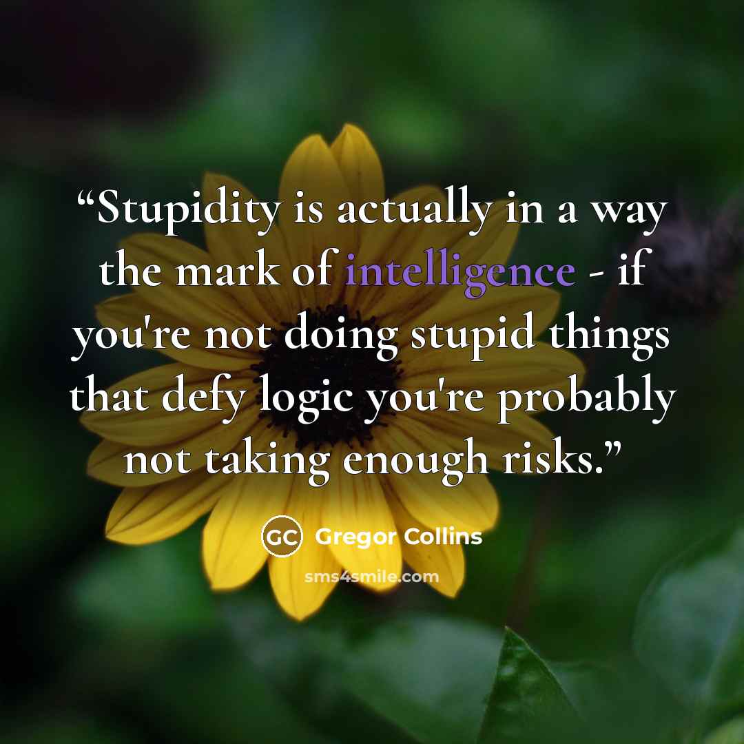 “Stupidity is actually in a way the mark of intelligence - if you're not doing stupid things that defy logic you're probably not taking enough risks.” quote by Gregor Collins