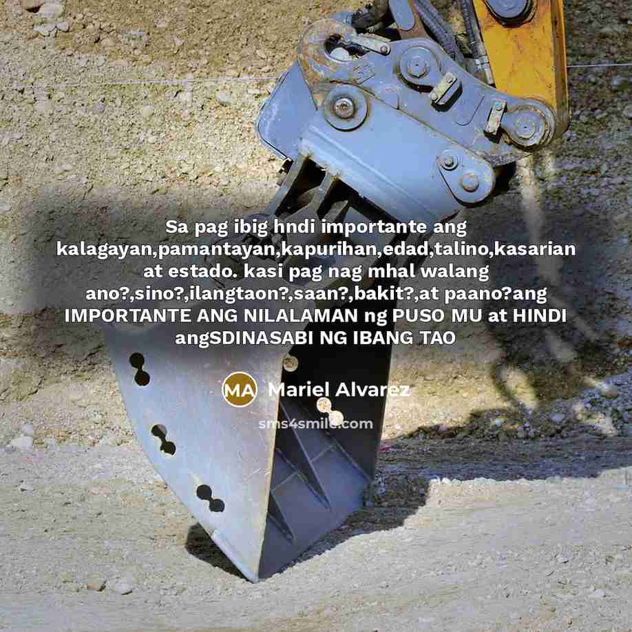 “Sa pag ibig hndi importante ang kalagayan,pamantayan,kapurihan,edad,talino,kasarian at estado. kasi pag nag mhal walang ano?,sino?,ilangtaon?,saan?,bakit?,at paano?ang IMPORTANTE ANG NILALAMAN ng PUSO MU at HINDI angSDINASABI NG IBANG TAO” quote by Mariel Alvarez