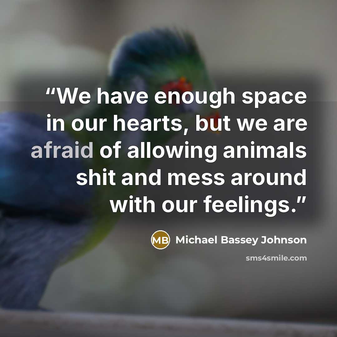“We have enough space in our hearts, but we are afraid of allowing animals shit and mess around with our feelings.” quote by Michael Bassey Johnson