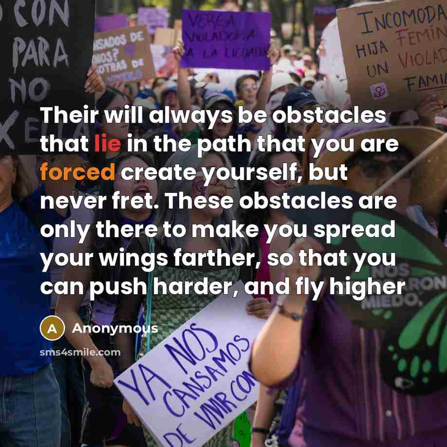“Their will always be obstacles that lie in the path that you are forced create yourself, but never fret. These obstacles are only there to make you spread your wings farther, so that you can push harder, and fly higher” quote by Anonymous