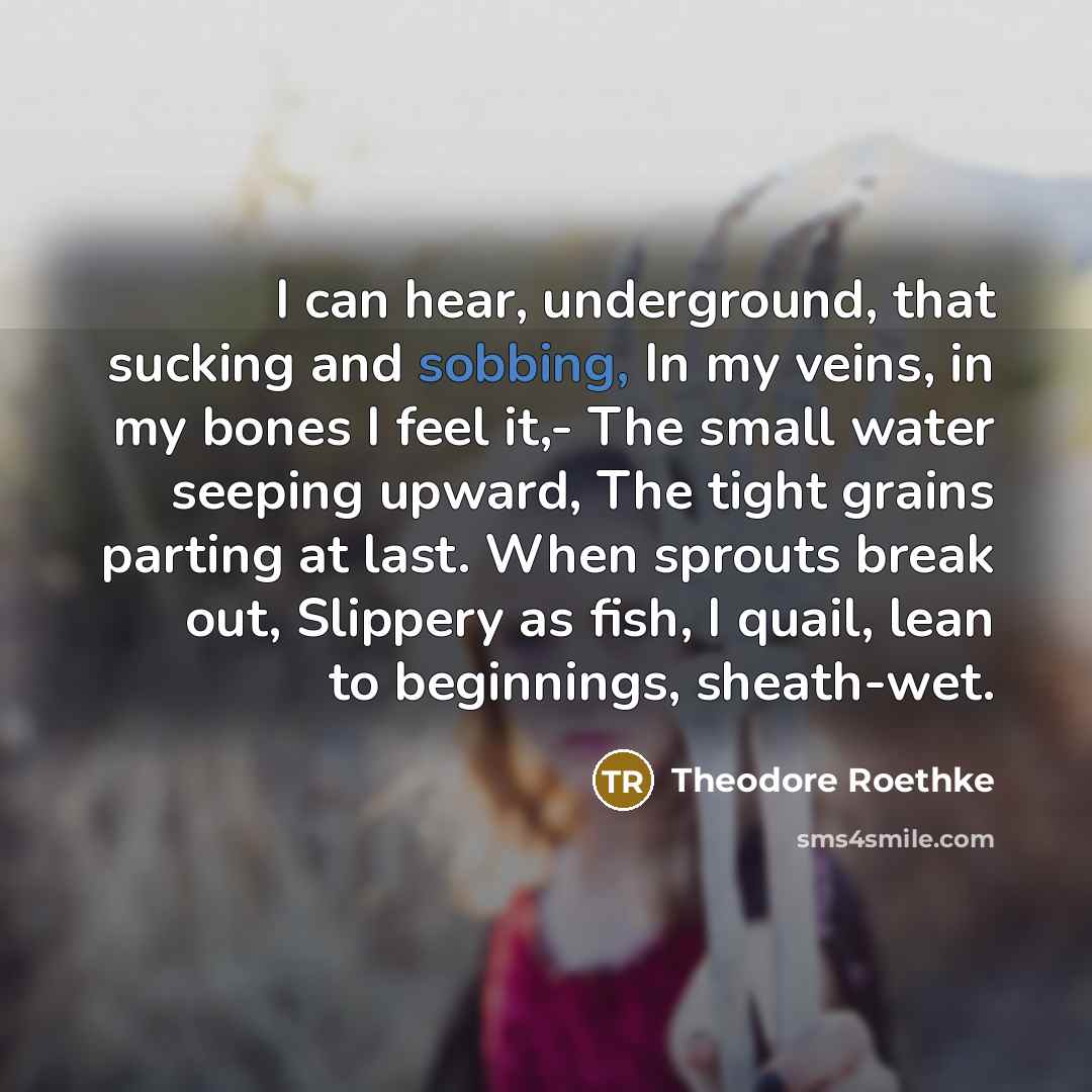 “I can hear, underground, that sucking and sobbing, In my veins, in my bones I feel it,- The small water seeping upward, The tight grains parting at last. When sprouts break out, Slippery as fish, I quail, lean to beginnings, sheath-wet.” quote by Theodore Roethke
