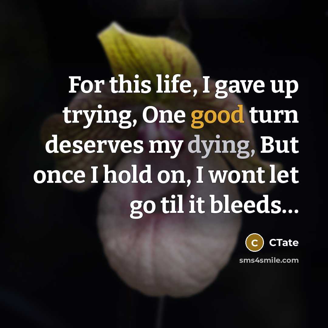 “For this life, I gave up trying, One good turn deserves my dying, But once I hold on, I wont let go til it bleeds…” quote by CTate