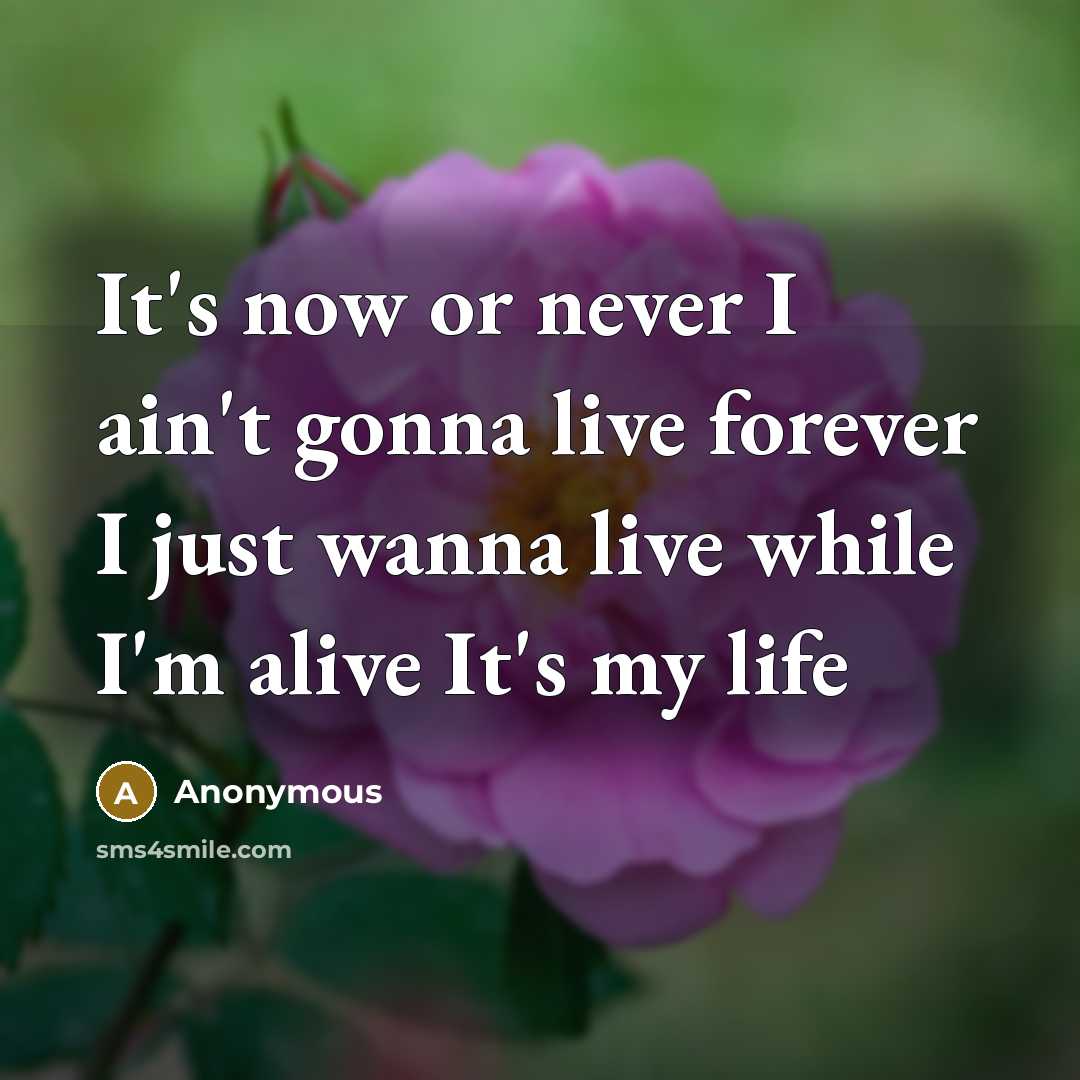 “It's now or never I ain't gonna live forever I just wanna live while I'm alive It's my life” quote by Anonymous