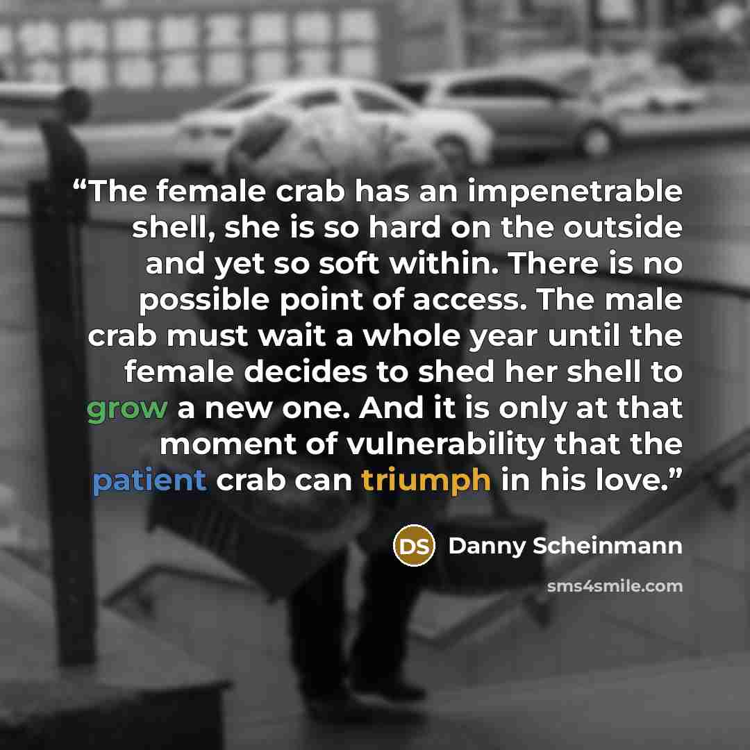 “The female crab has an impenetrable shell, she is so hard on the outside and yet so soft within. There is no possible point of access. The male crab must wait a whole year until the female decides to shed her shell to grow a new one. And it is only at that moment of vulnerability that the patient…” quote by Danny Scheinmann