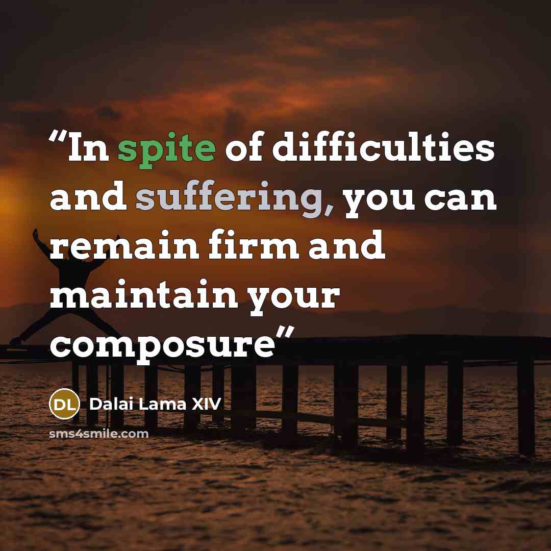 “In spite of difficulties and suffering, you can remain firm and maintain your composure” quote by Dalai Lama XIV