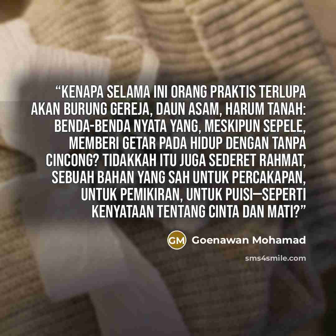 “Kenapa selama ini orang praktis terlupa akan burung gereja, daun asam, harum tanah: benda-benda nyata yang, meskipun sepele, memberi getar pada hidup dengan tanpa cincong? Tidakkah itu juga sederet rahmat, sebuah bahan yang sah untuk percakapan, untuk pemikiran, untuk puisi—seperti kenyataan…” quote by Goenawan Mohamad