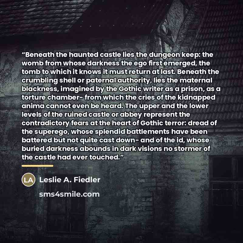 “Beneath the haunted castle lies the dungeon keep: the womb from whose darkness the ego first emerged, the tomb to which it knows it must return at last. Beneath the crumbling shell or paternal authority, lies the maternal blackness, imagined by the Gothic writer as a prison, as a torture chamber…” quote by Leslie A. Fiedler