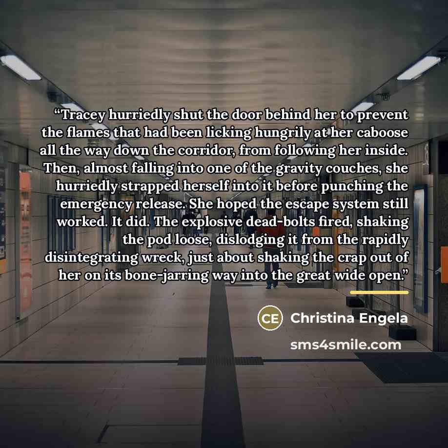 “Tracey hurriedly shut the door behind her to prevent the flames that had been licking hungrily at her caboose all the way down the corridor, from following her inside. Then, almost falling into one of the gravity couches, she hurriedly strapped herself into it before punching the emergency…” quote by Christina Engela