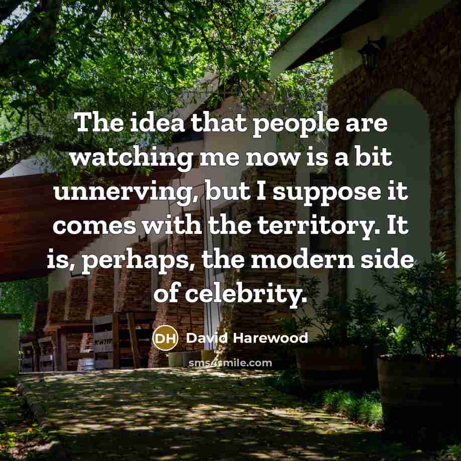 “The idea that people are watching me now is a bit unnerving, but I suppose it comes with the territory. It is, perhaps, the modern side of celebrity.” quote by David Harewood