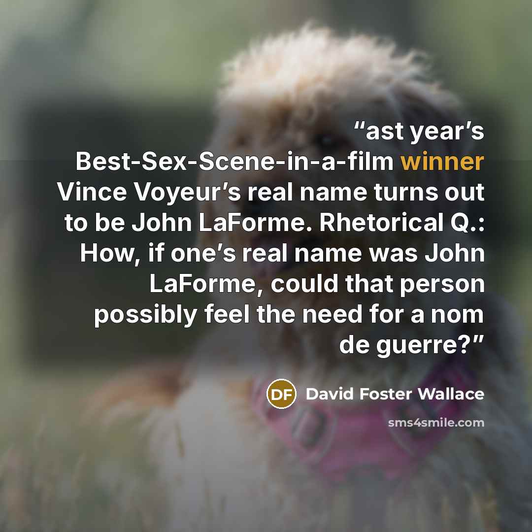 “ast year’s Best-Sex-Scene-in-a-film winner Vince Voyeur’s real name turns out to be John LaForme. Rhetorical Q.: How, if one’s real name was John LaForme, could that person possibly feel the need for a nom de guerre?” quote by David Foster Wallace