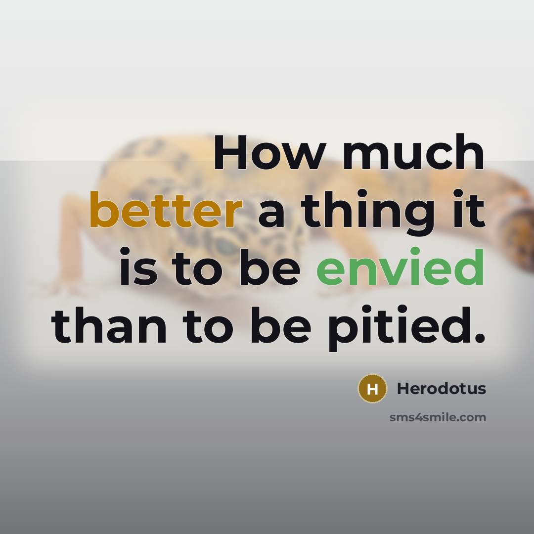 “How much better a thing it is to be envied than to be pitied.” quote by Herodotus